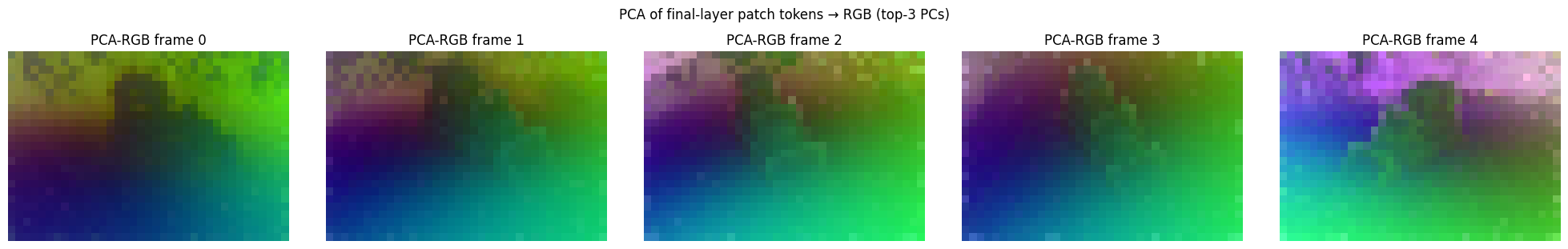 VGGT PCA-RGB backbone features